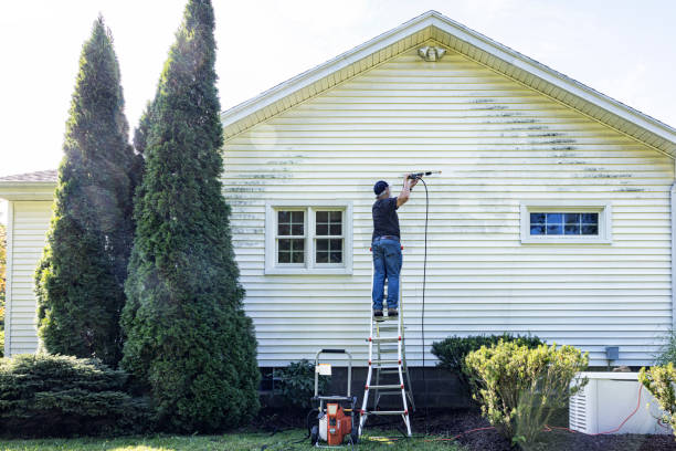 Best Exterior Home Cleaning  in Mountainside, NJ